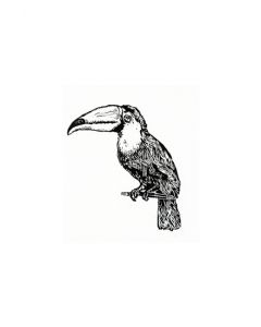 Xilogravura by Rafael Ramalho “Cão" (35 cm x 27 cm)