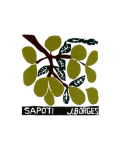 Xilogravura by J. Borges - Fruta de Sapoti (Tamanho 33 x 24 cm)